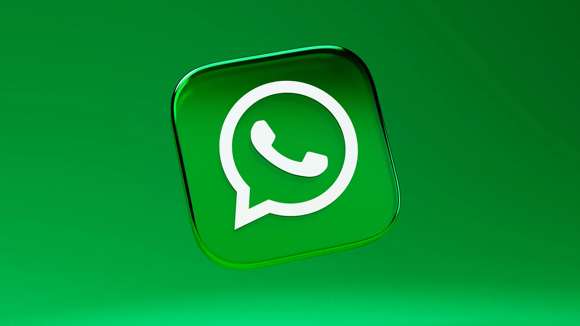 WhatsApp translation software
