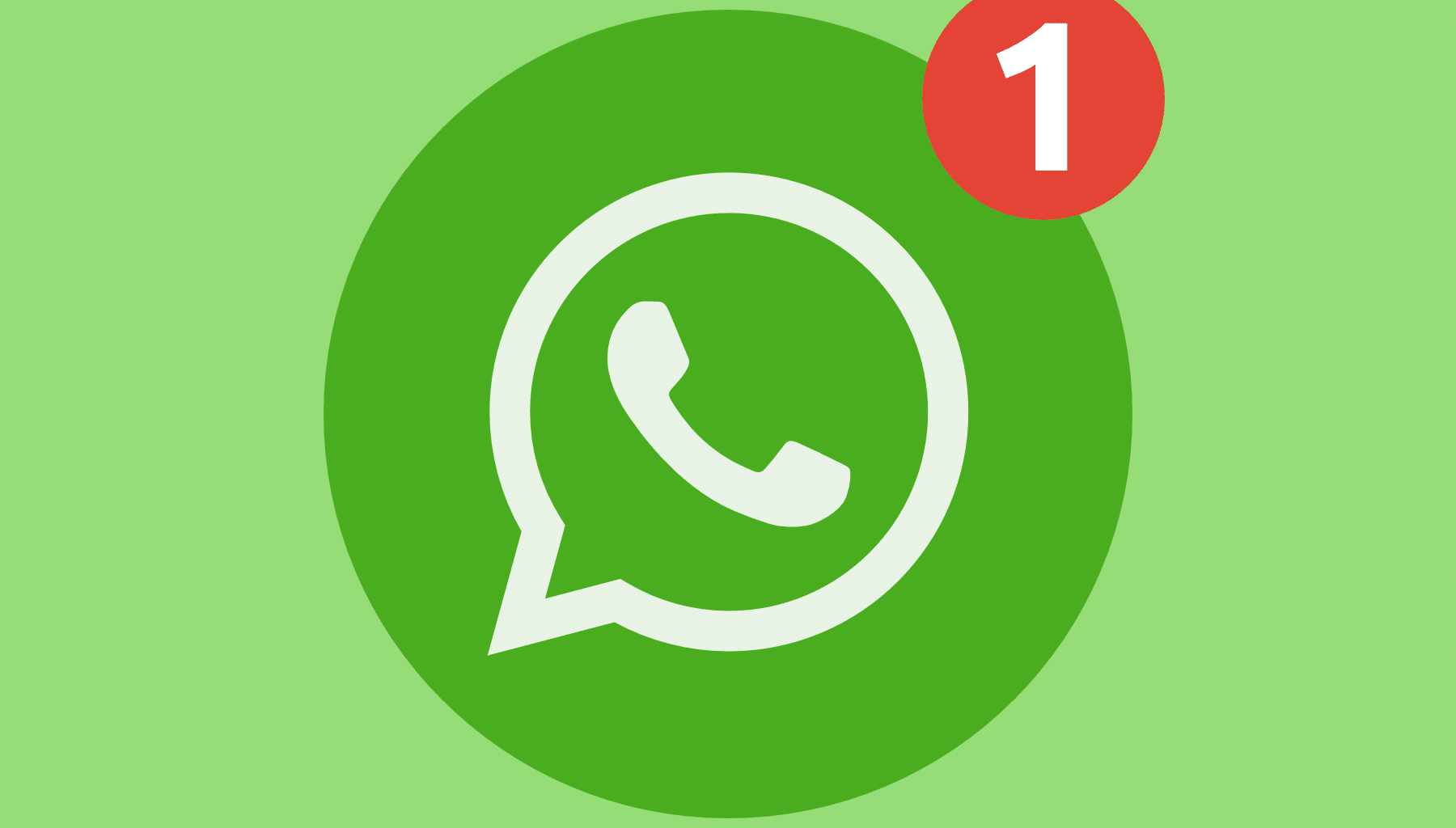 WhatsApp translation software